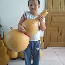 ���J����J�����[��10������1�״���J�����ˌ�ɏ���^�ֺ��J