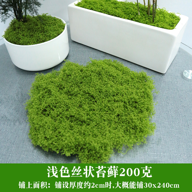 仿真苔藓绿色假青苔背景装饰 植物墙草坪微景观仿真苔藓草皮青苔|undefined