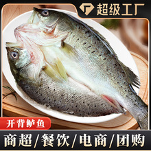 ���|�~�_�����r�������~ȥ���K�_���|�~�������l����l