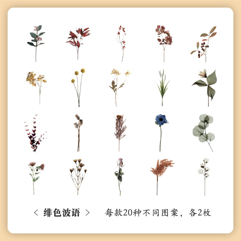 Museo Natural serie mano cuenta pegatinas bolsa vintage planta flor pegatinas mascota impermeable Flor Mariposa pegatinas