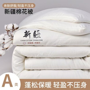 Class a Maternal and Infant Grade Cotton Quilt Thickeneded Autumn and Winter Quilt Warm Student Dormitory Double Quilt Core Cotton Quilt