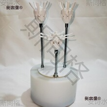 �_���� �Ԅ��_�ϻ� �q��������̫����̫��