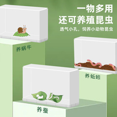 Children's Root System Growth Plant Observation Box Science Experiment Set for Primary School Students DIY Potting Kit Planting Toy Wholesale