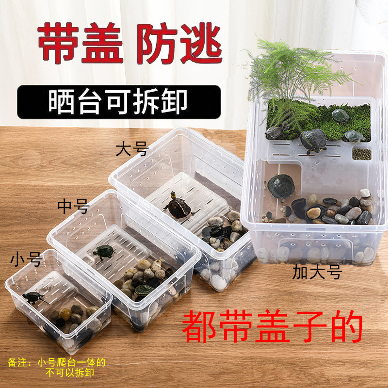 家用大型特大超大螃蟹缸养专用六角宠物鱼乌龟专用水陆两用鱼缸|undefined