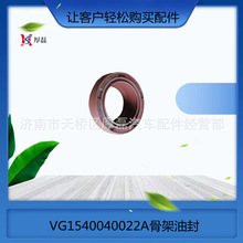 �н����Q��VG1540040022A�Ǽ��ͷ⣨�������ã��Ě��T19*30 �ͷ�