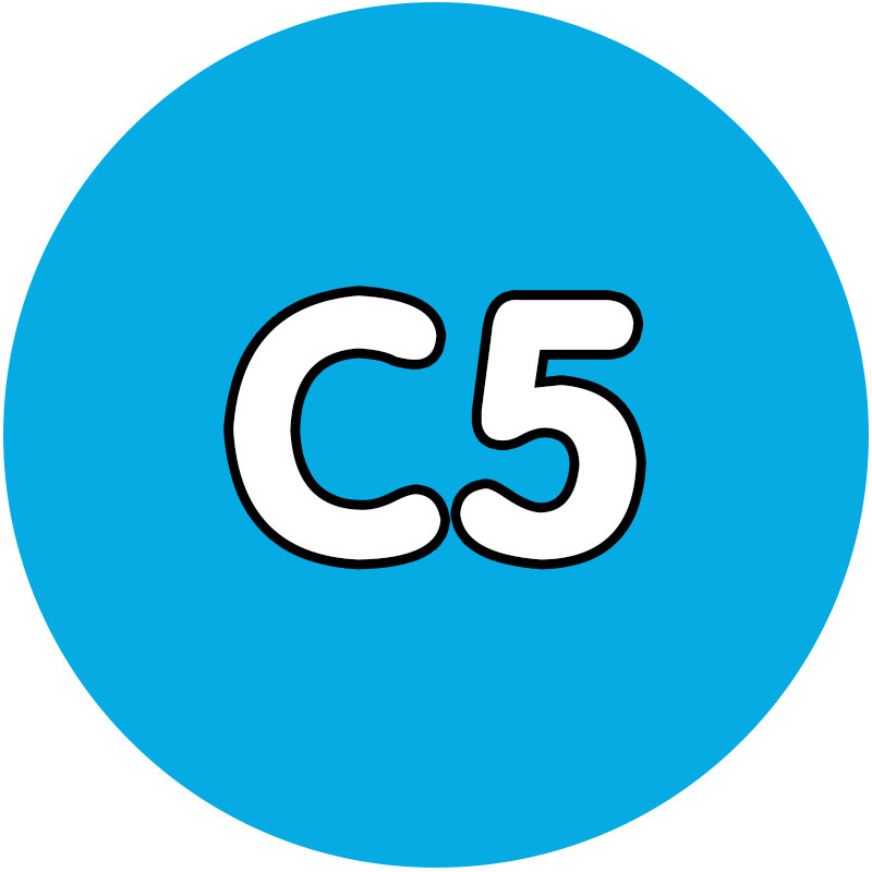 [10g auto-selección de paquete suplementario de galletas de frijol 221 color verde de alta calidad fusión frijol diy hecho a mano