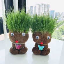 草頭娃娃創意小盆栽桌面可愛植物趣味長草娃娃辦公室兒童水培綠植