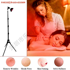 植物生长灯;红外线灯;其他专用灯具