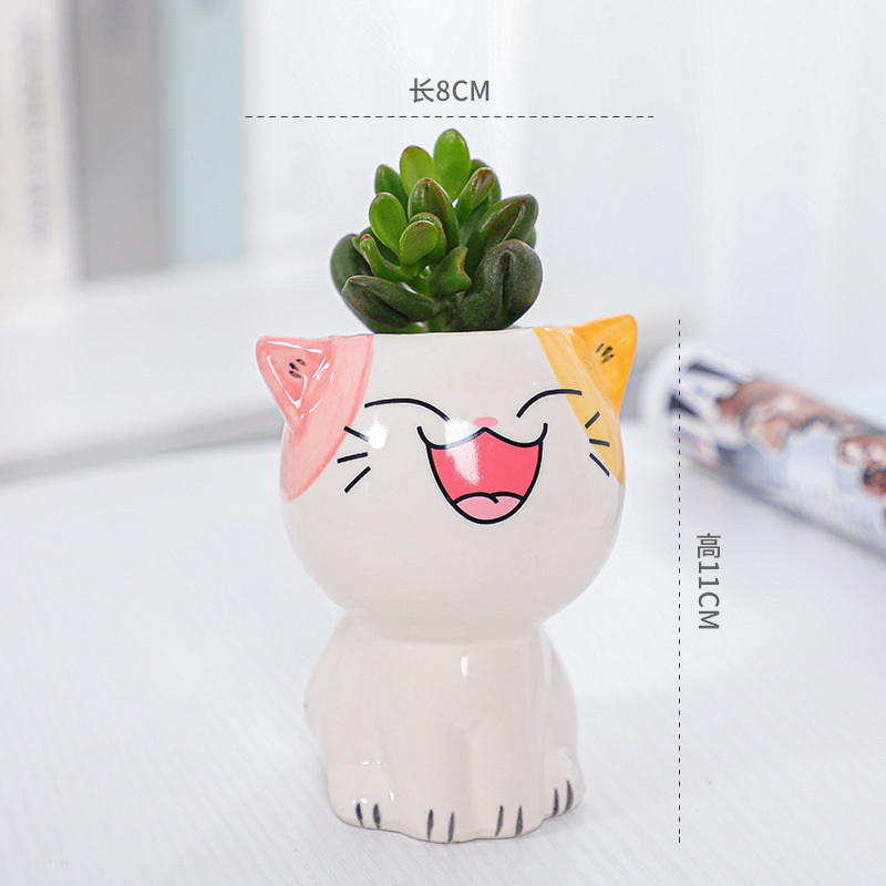 O1CN01nYH0WV23xz6dIoNcp_!!3428