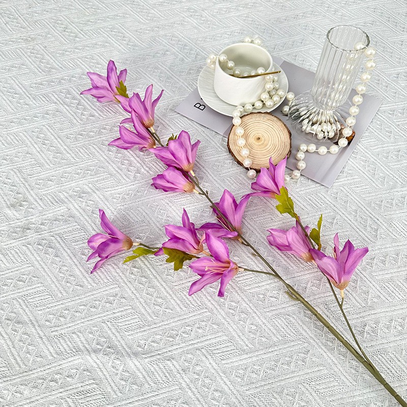 보라색 바람 난초