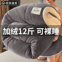 加厚牛奶绒被子冬季加绒宿舍羊羔绒家用卧室加厚保暖被子被芯冬被