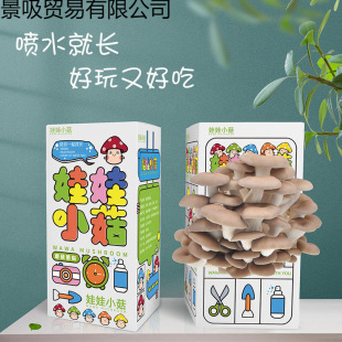 ƽ���������Nʳ�ô��b��Ģ���Nֲ�����̨Ȥζ���bdiy��ͯ