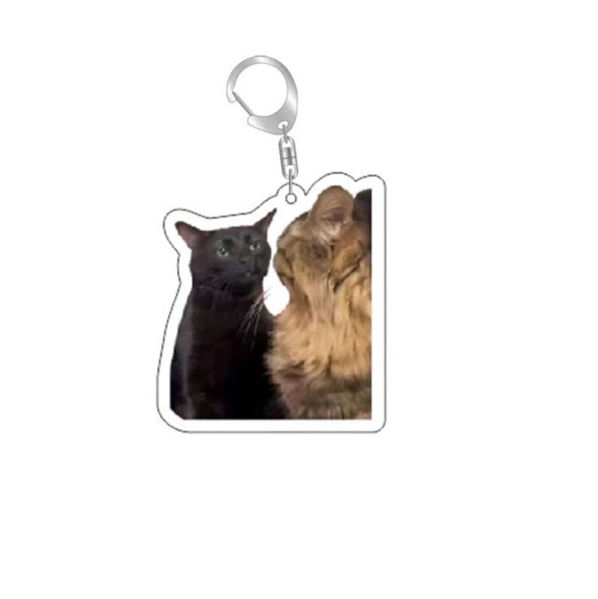Colgar adornos Amazon popularidad en línea gatos gatos acrílicos llaveros escultura de arena interesante memes gatos gatos pequeños