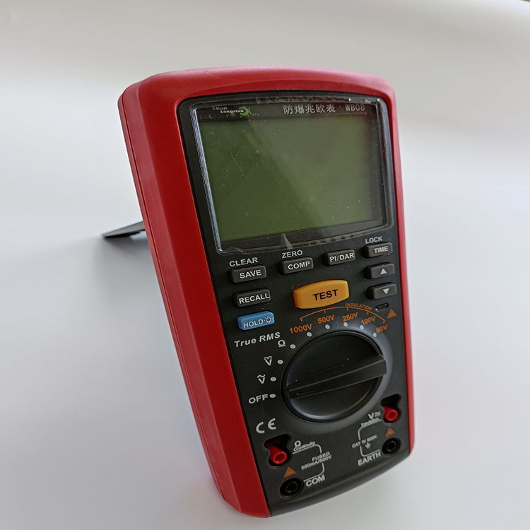 （价可议）绝缘电阻测量仪  型号:LS110-WB08 库号：M376056