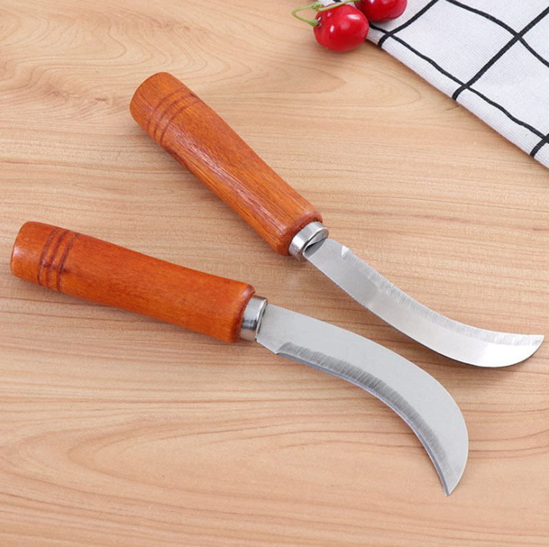 14316239991_210938489