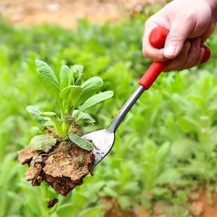 Digging wild vegetable shovel digging garlic manganese steel gardening shovel digging shepherd's purse gardening shovel planting flower digging weeding garlic shovel