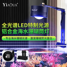 �~��LED��ˮɺ���������L�~������Ͳ����ן�ledˮ�݊A���a���