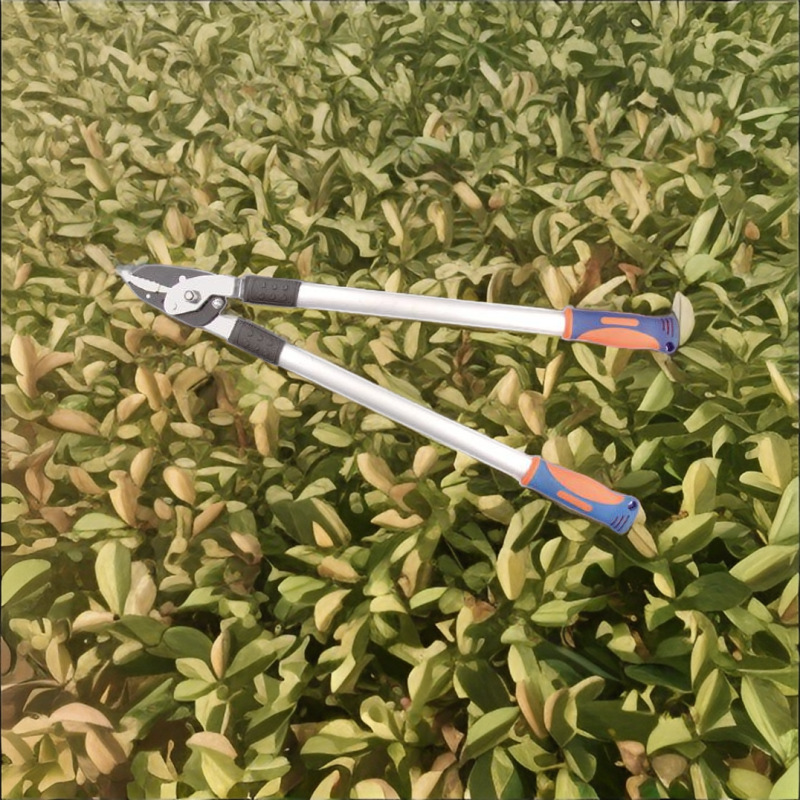 厂家直销供应高质量高枝剪树枝剪粗枝剪园林剪大力剪
