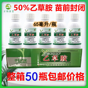 50%�Ҳݰ�65ml�������l�����׻�������ǰ���]���݄�ѿǰ���]ș
