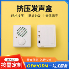 录音盒挤压发声音乐盒发声器毛绒发声音乐棒棒糖IC芯片毛绒娃娃