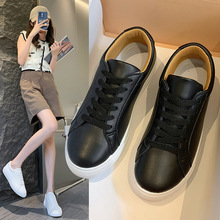 2024ļ¿СЬŮ\eЬŮn泱ЬӌWaŮЬ