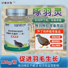 �����`������������ë�I�B���J���u�W�^��ë��΢��Ԫ��������ӄ�