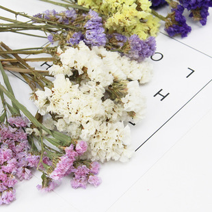 ���˲�������DIY��޹Ϟ�T�ɻ�������޹ϞƬ�����ɻ���򻨲�ɢ�b