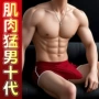 成人猛男肌肉仿真自慰器