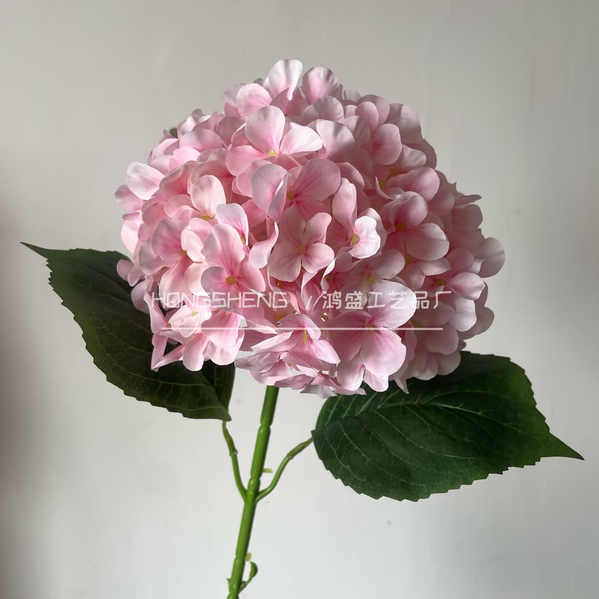 분홍색