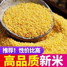 东北黄小米月子米五谷杂粮米糯小米农家黄米当季新粮黄金小米熬粥
