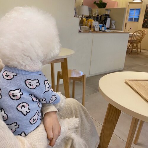 New Spring and Autumn Dog Clothes Rabbit Sweater Small Puppy Teddy Bichon Pomeranian Cat Pet Clothing