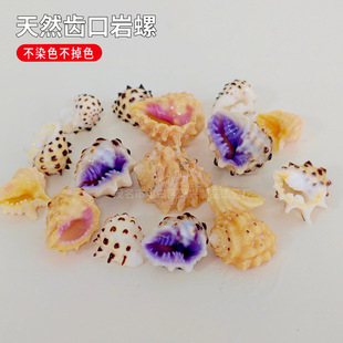 ��ȻС����ؐ�� ��Ȼ�X�����ݼҾ��b��~���쾰����[���ֹ�diy