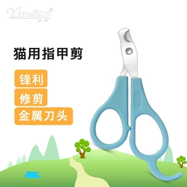 狗狗清洁;宠物梳子;口腔清洁