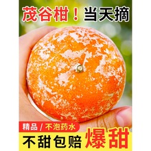 �V�����Qï�ȸ��K�K��10�����rˮ�����������ָ�����ʯ�ҽ���