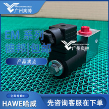 ��HAWE����EM 31 S-3/4-G 24-PYD늴����y�Q���yҺ���y