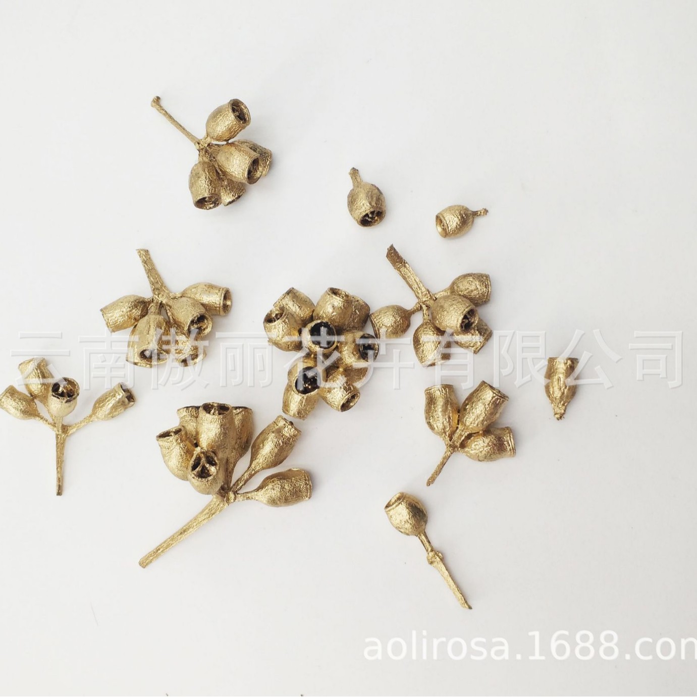 Yongsheng flor/pequeña fruta de eucalipto/Flor seca fresca Oficina decoración del hogar flor exportación calidad fábrica al por mayor