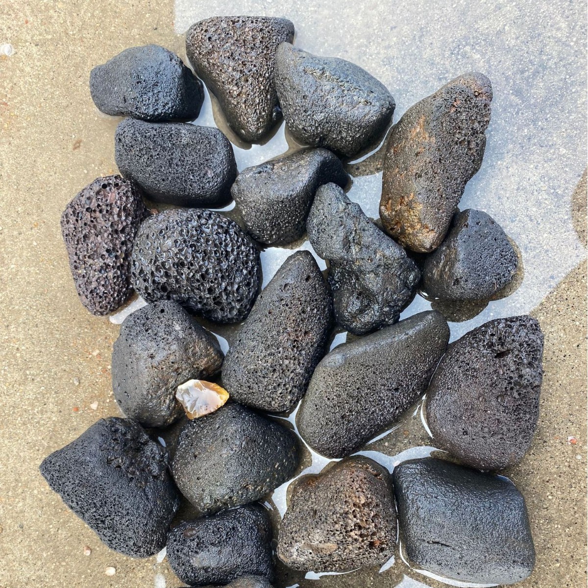 O1CN01b4c65d26todpTVno6_!!2880