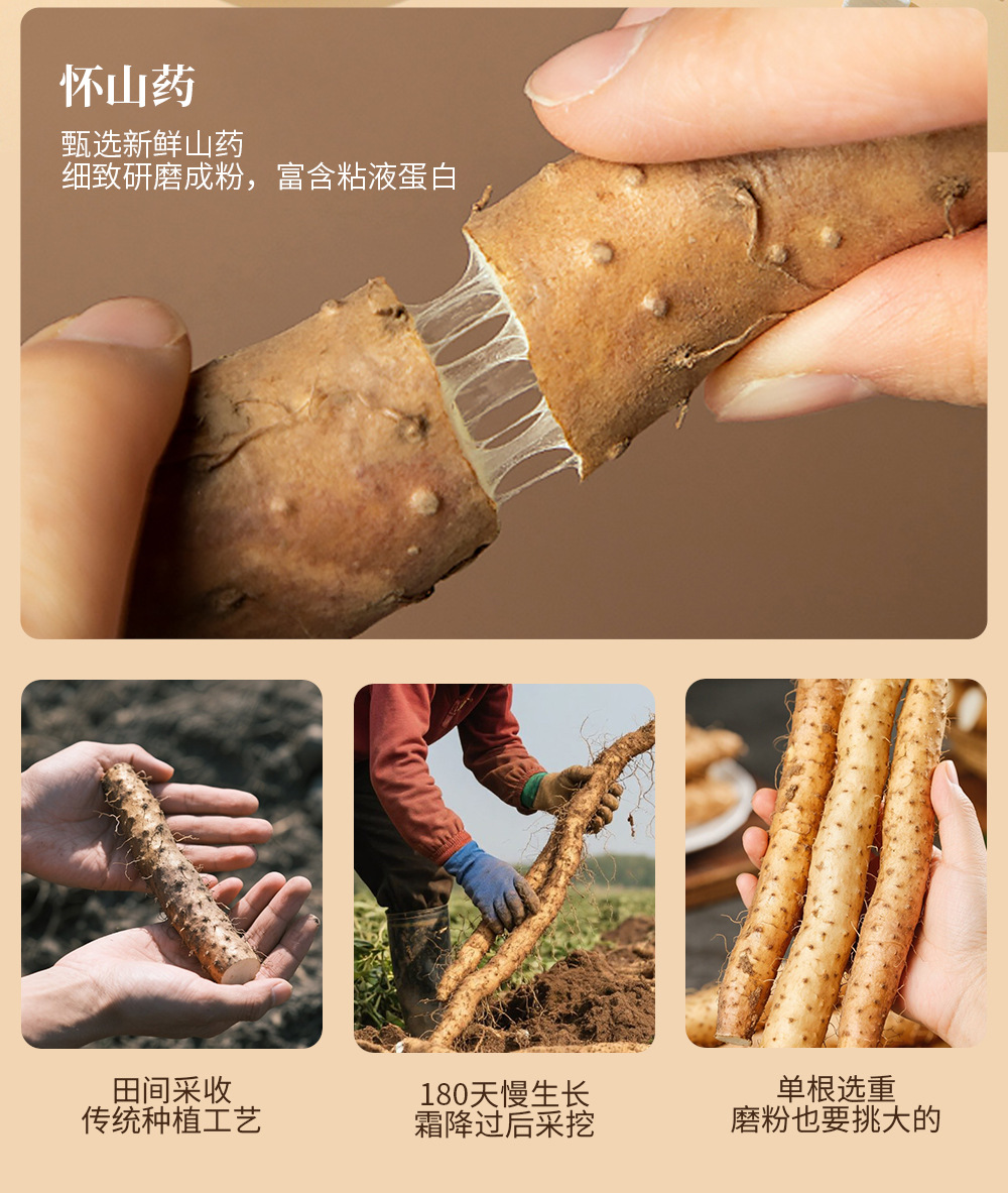 Iron Stick Yam Powder Huai Shan Yao Chinese Yam Instant Drink Powder 300g quality and texture