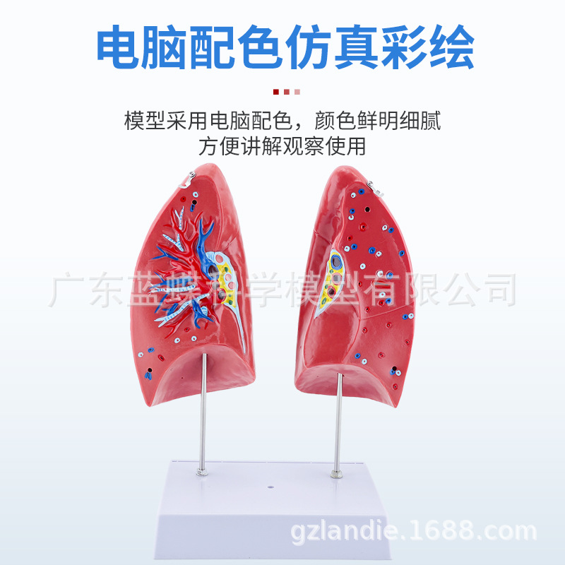 ��Ȼ��������ķ�ģ�ͺ�����״�ٷ��������ϵͳ�β�������ʽ�ѧ