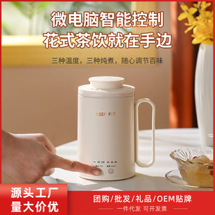 Multi-use Health Cup Travel Electric Boiling Cup Office Intelligent Heat Preservation Electric Stew Cup Heating Boiling Cup Constant Temperature Brewing Milk Cup
