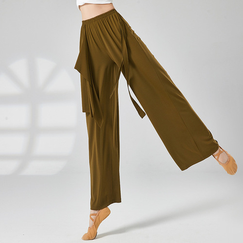 Queen's Pants Classical Dance Loose Floating Gauze Wide-leg Pants Modern Dance Practice Wear Adult Performance Wear Training Dance Pants