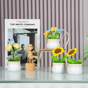 Manufacturer Wholesale Small-Sized Plastic Flower Pots, Mini Car-Mounted Yarn Crochet Woven Pots, Succulent Small White Pots, Bonsai