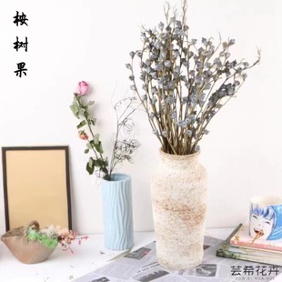 �ȼ�������֦�����ɻ�ɭϵ��Ȼ�ɻ��滨����x�Ҿ��b�