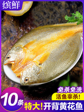 �S�~�����r������S�~�S���~��ȥ���r����С�S�~�r��r���~����