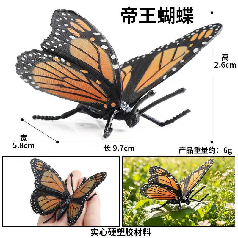 Mariposa Emperador ZZ