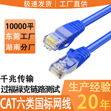 ����W��ǧ��cat6�����X�����ξW�j������Ʒ���l����W��