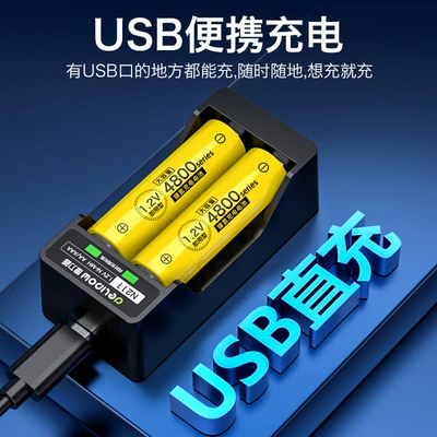 Hibrid akkumulyator batareyaları, Delip No. 5 rechargeable