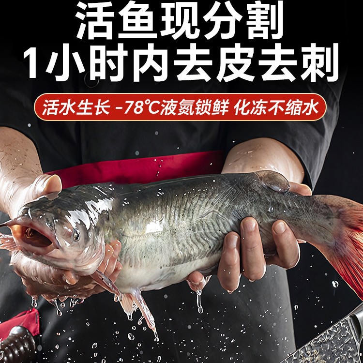 商用无肉排冷冻刺非巴沙鱼柳20鱼片龙利鱼整箱无骨官方旗舰店新鲜