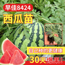 ����������޽���Нh�o���������ļ��Ϸ��̨�Nֲ�����߲���