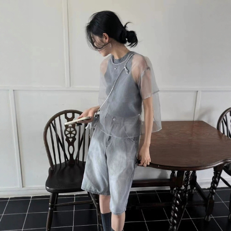Old Money Style Outfit: Gray Transparent Mesh Cover-Up, New Summer Style, Loose Layered Short-Sleeve Top, Babydoll Shirt for Women in Summer